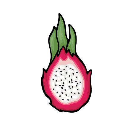 Illustration einer halbierten Drachenfrucht mit weißem Fruchtfleisch und schwarzen Samen, umgeben von pinker Schale.