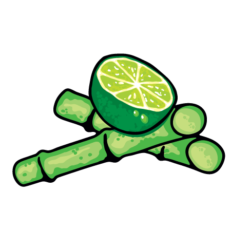 Illustration eines halben Limettenstückes auf geschnittenem Zuckerrohr vor schwarzem Hintergrund.
